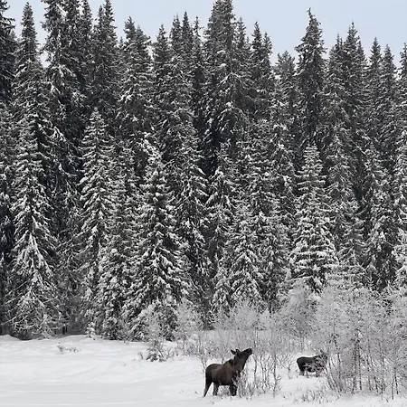 Villa Beautifully Located Farm Unique Experience Valle (Aust-Agder)