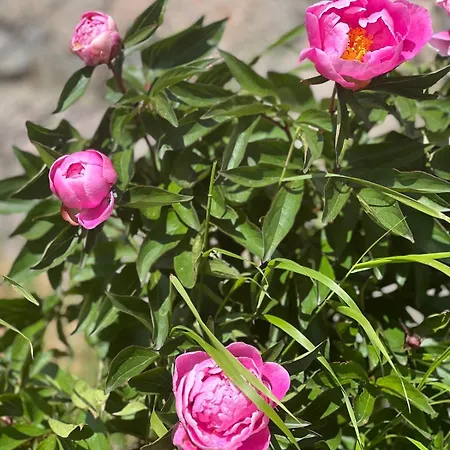 Villa Beautifully Located Farm Unique Experience