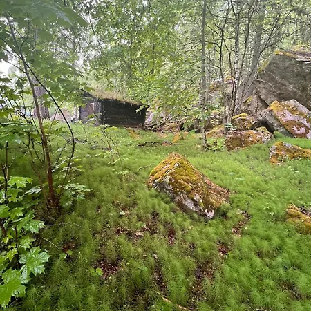 Beautifully Located Farm Unique Experience Villa