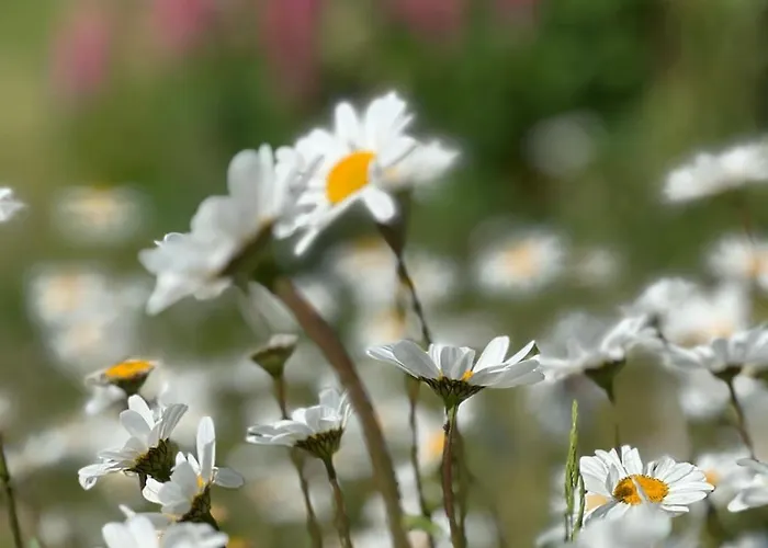 Villa Beautifully Located Farm Unique Experience Valle (Aust-Agder)