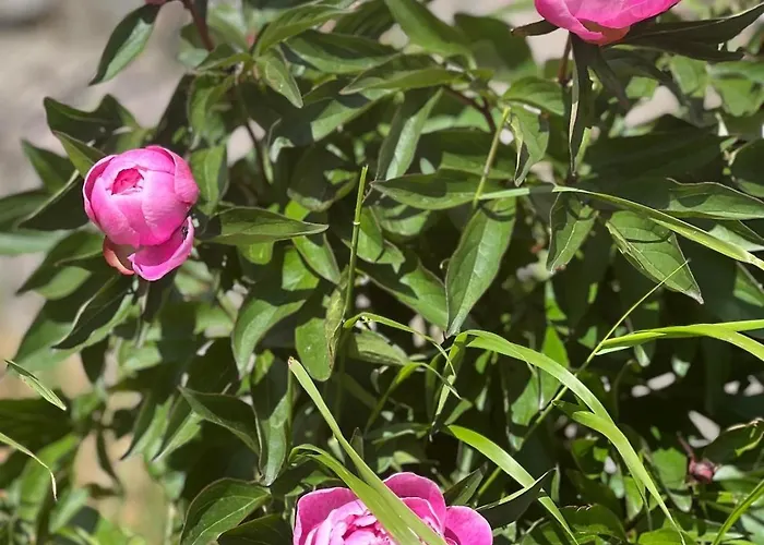 Villa Beautifully Located Farm Unique Experience