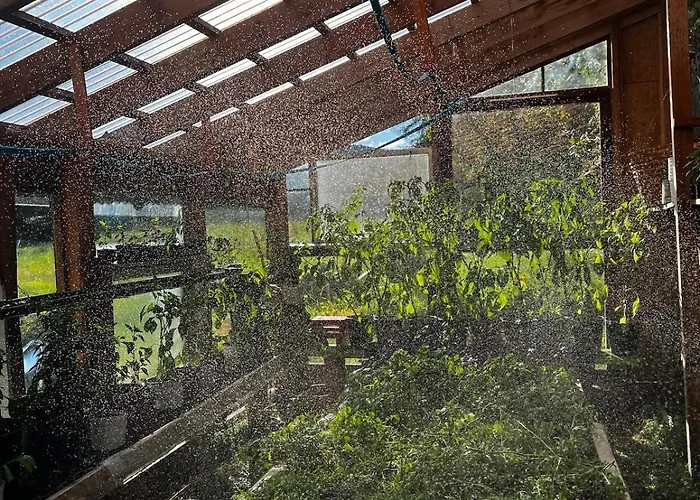 Beautifully Located Farm Unique Experience * Valle (Aust-Agder)