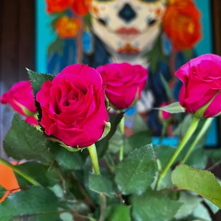 Beautifully Located Farm Unique Experience *